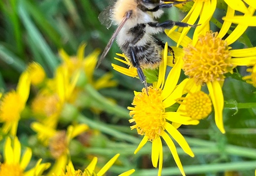 23-09-21 14-30-56 7216